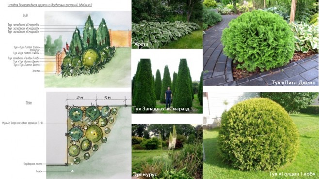 Профпереподготовка – работы студентов - 30